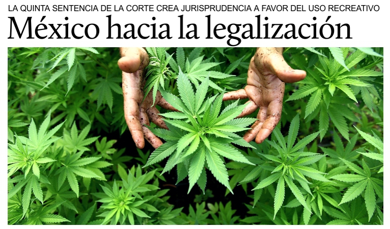Cannabis, Mxico hacia la legalizacin.