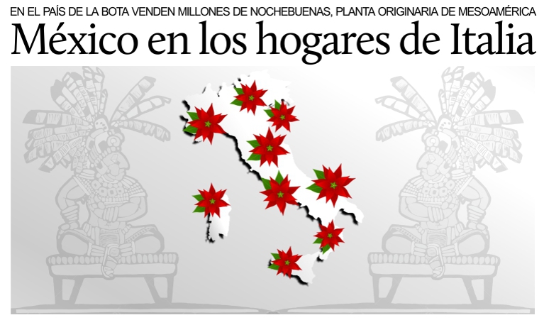 Millones de nochebuenas -planta originaria de M�xico- vendidas en Italia.
