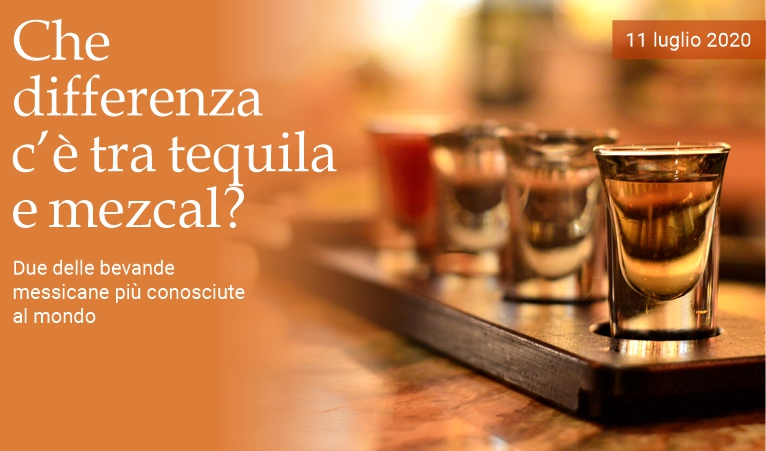 Che differenza c'� tra tequila e mezcal?